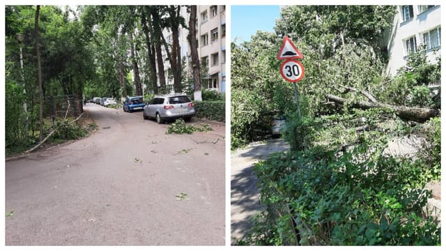  Vântul puternic doboară copaci peste trei mașini. Un bucureștean comentează: Dezastru complet în cartier