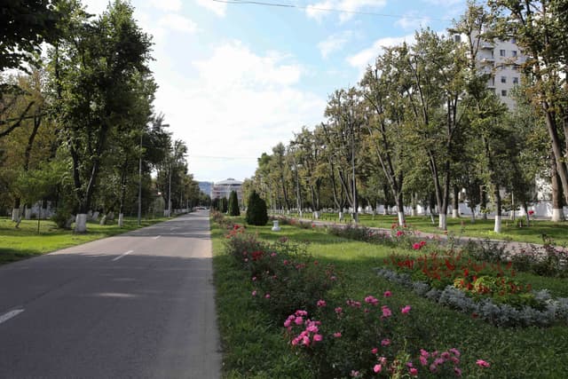  Intrare liberă, înscrieri online pentru turul ghidat organizat de Rețeaua pentru Natură Urbană, sâmbăta viitoare în București!