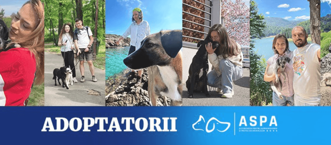  alătură-te pentru sprijin și socializare!