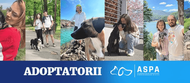  alătură-te pentru sprijin și socializare!