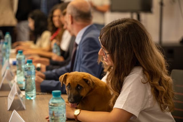  O nouă disciplină ilfoveană ce ar putea deveni materie națională pentru elevii de gimnaziu din România