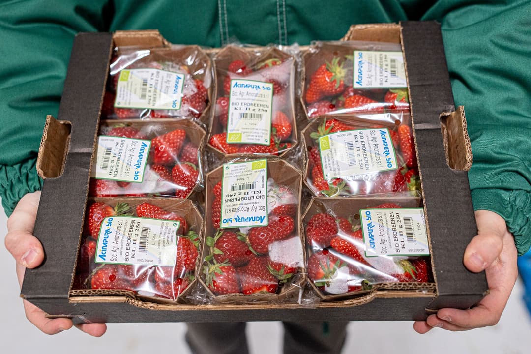  Cererea pentru fructe și legume eco a crescut cu aproape 40% în acest an comparativ cu anul trecut