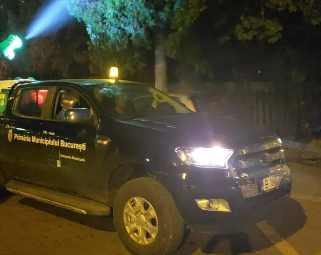  măsuri amplificate pentru a combate insectele din iunie 2025, noapte de noapte!