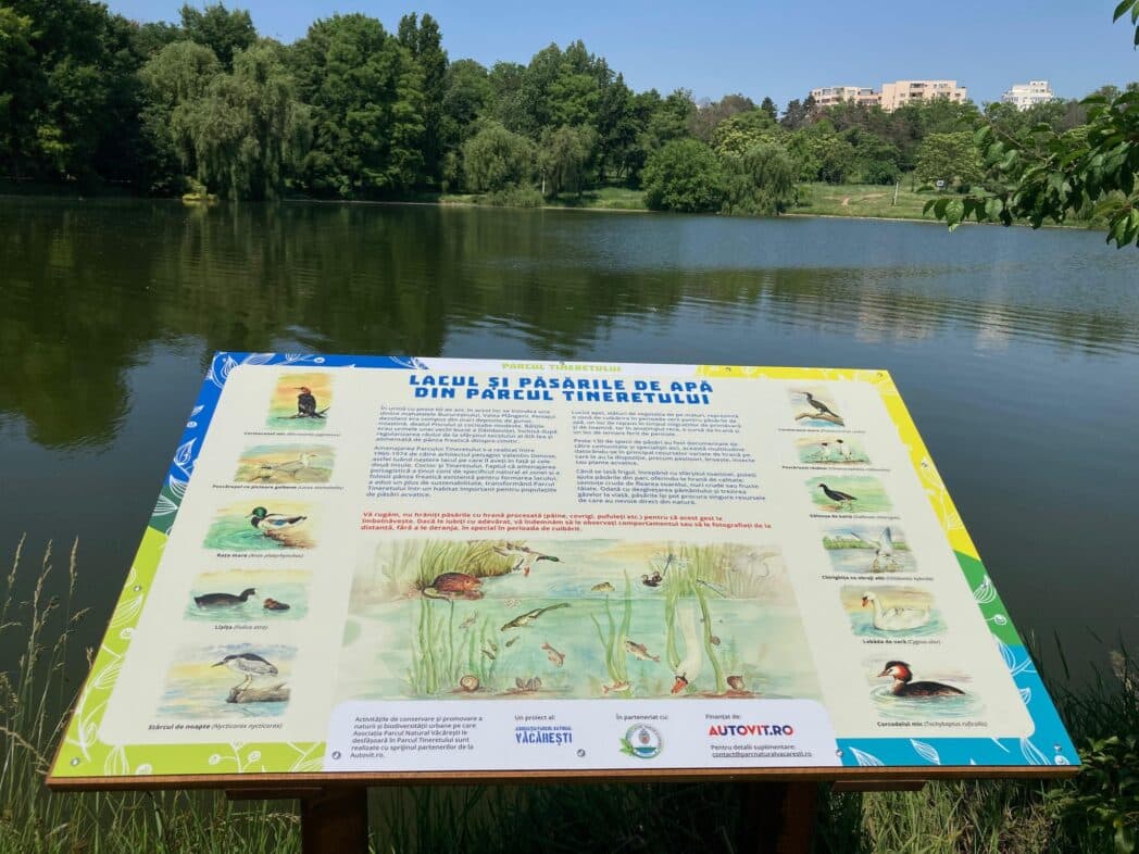  Copiii și Natura – Proiect Educațional Inovator Lansat de Primăria București pentru Protecția Mediului