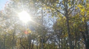 Joi cu Cod Galben de Căldură Extremă și Disconfort Termic Ridicat! Temperaturile pot atinge 34-35 de grade.