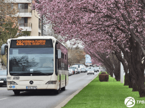 Liniile 282 și 311 revin pe traseele obișnuite în weekend; Autobuzele 205 deservesc Calea Victoriei după anularea evenimentului ‘Străzi Deschise’. Află detalii!