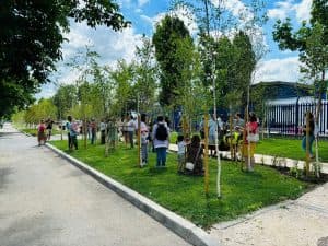 Peste 600 de Copaci Uimitori Vor Îmbogăţi Peisajul Urban din Militari, Drumul Taberei şi Crângaşi! Descoperă Detalii!