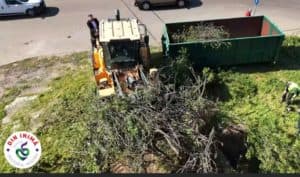  Start pentru Noul Parc! Descoperă Cum Se Schimbă Fața Cartierului!