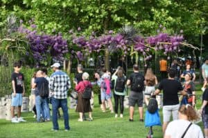  Festivalul West Side Flower Fest: Grădini Literare, Decoraţiuni Impunătoare şi Proiecţii Pe Apă în Parcul Drumul Taberei, 30 Mai – 1 Iunie