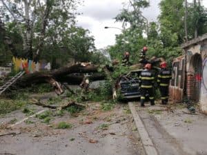  Intervenție Crucială pentru Degajarea unui Copac căzut pe Strada G-ral Constantin Budișteanu, București, Sector 1