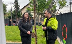  Revitalizarea verdeții din Sectorul 2! Primăria se pregătește de acțiunea de plantare masivă!