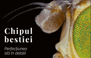 Expoziţia Chipul bestiei – Perfecţiunea detaliilor te aşteaptă!