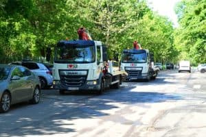 Soluţia Ta pentru Problemele Arborilor din Sectorul 3