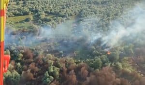 A Șaptea Zi de Luptă a Salvatorilor cu Flăcările din Chilia Veche