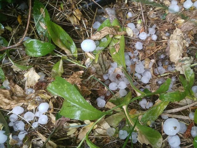  Furtuni cu Averse și Grindină Imminente în Bacău și Neamț! Avertizare Până Duminică ora 16:00!