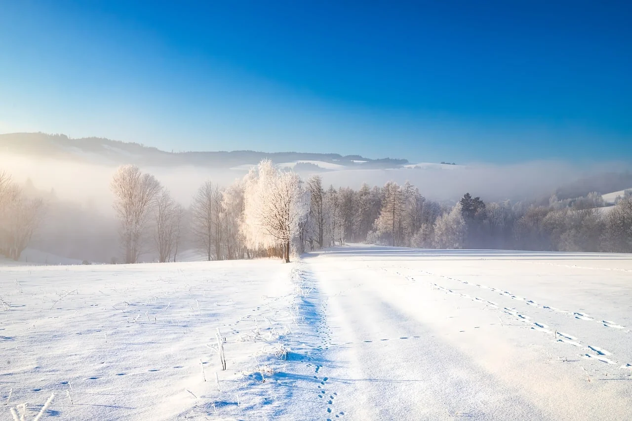 Temperaturi sub zero grade în mai multe regiuni din România în această dimineață