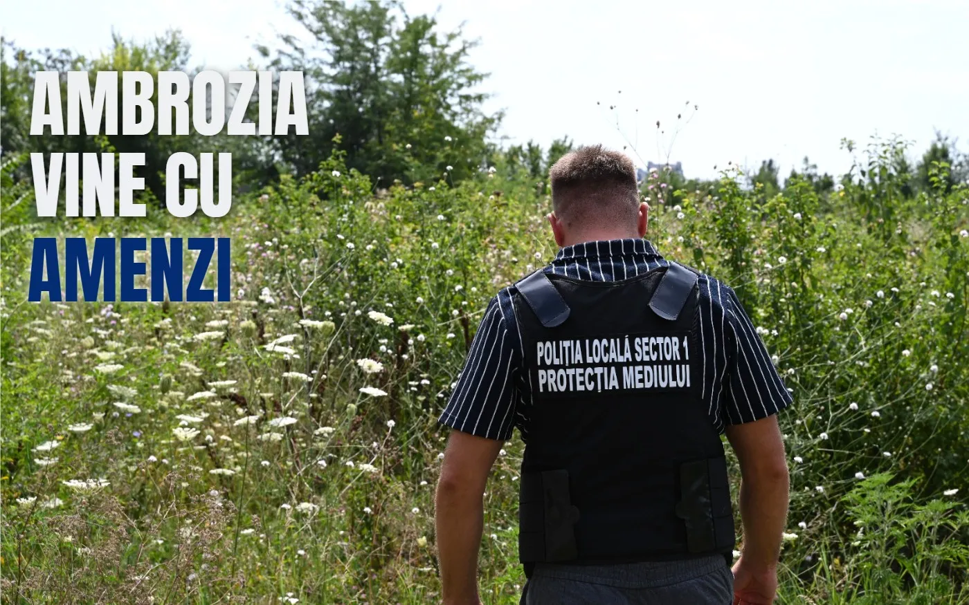 720 de sancțiuni pentru terenuri cu ambrozie în Sectorul 1, până în iulie